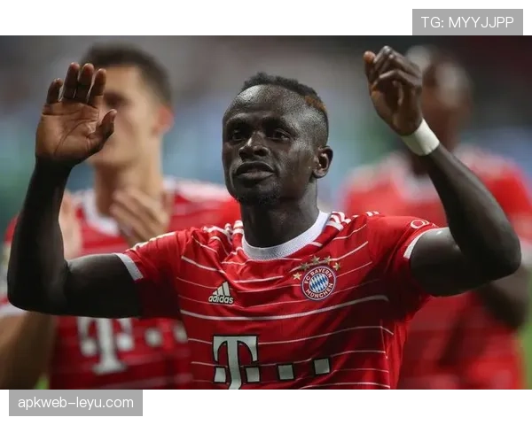 德甲鹰军团剑指冠军，新赛季表现备受瞩目