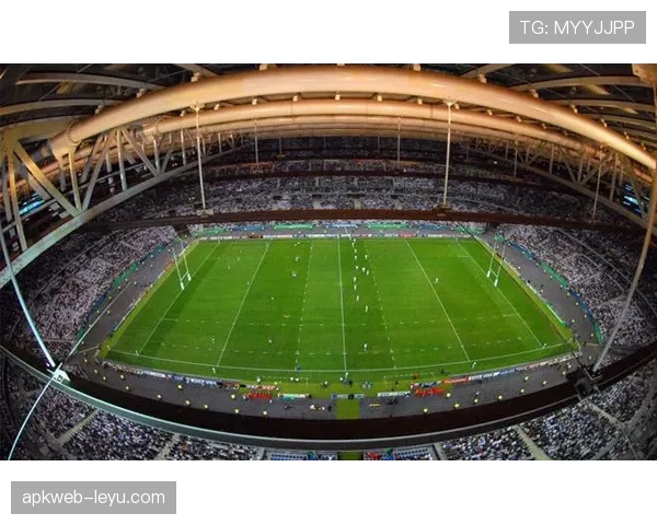 森林城球场焕然一新，全面升级打造卓越观赛体验