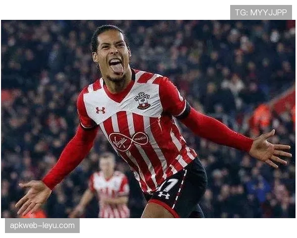 南安普顿2025赛季展望：新帅掌舵，雄心重启挑战与希望并存