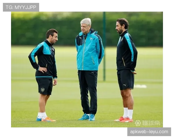 布伦特福德未来规划聚焦青训体系与可持续竞争力提升